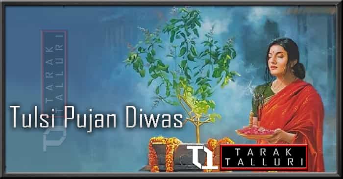 Tulsi Pujan Diwas Tulsi Pujan Day Tulsi Puja Day