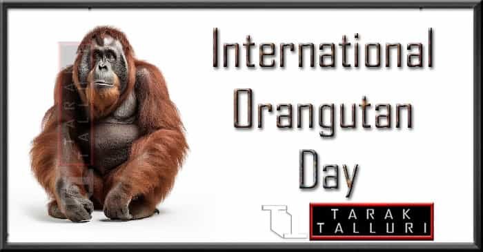 International Orangutan Day