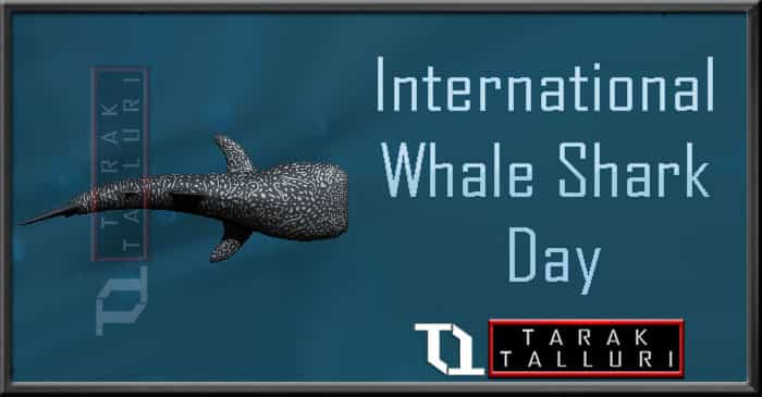 International Whale Shark Day