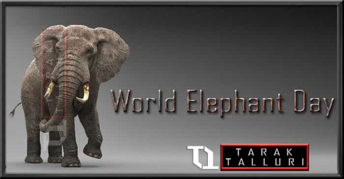 World Elephant Day