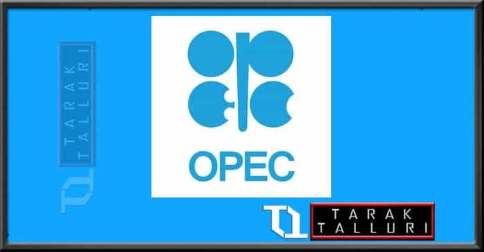 The Organization of the Petroleum Exporting Countries is an organization opec
