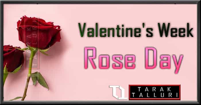 Valentine's Week - Rose Day