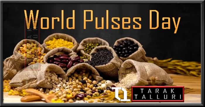 World Pulses Day
