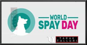 World Spay Day