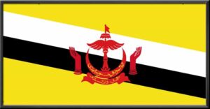 brunei flag