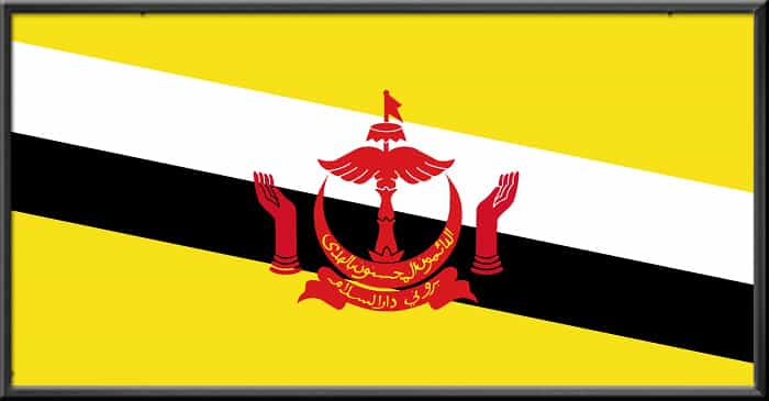 brunei flag