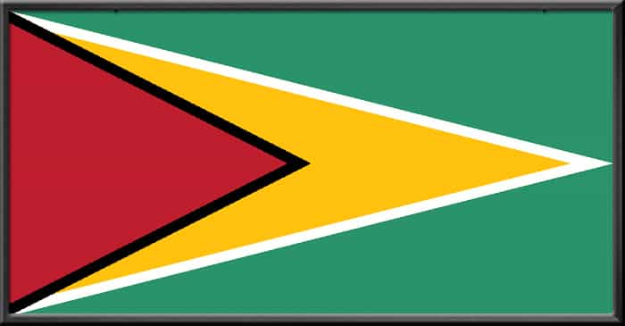 guyana flag
