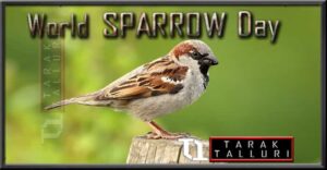 World Sparrow Day