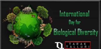 International Day for Biological Diversity