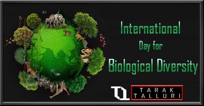 International Day for Biological Diversity